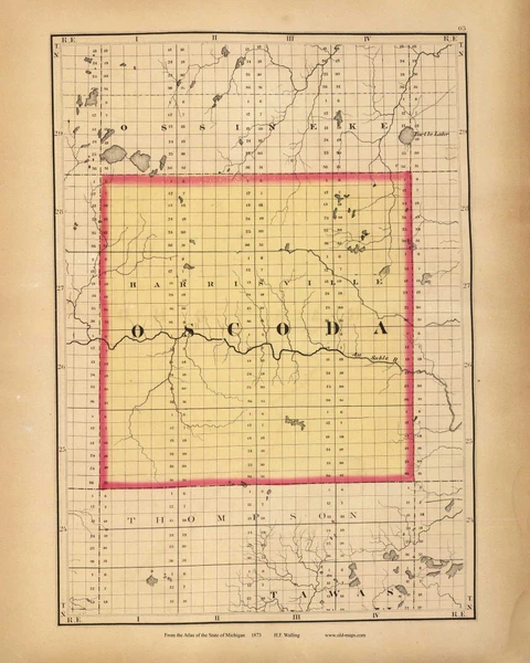 Oscoda 63, Michigan 1873 Old Map Reprint - Walling State Atlas