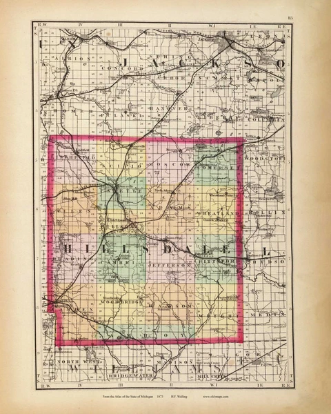 Hillsdale 113, Michigan 1873 Old Map Reprint - Walling State Atlas