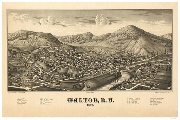 Walton, New York 1887 Bird's Eye View - Old Map Reprint