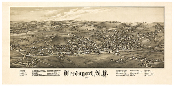 Weedsport, New York 1885 Bird's Eye View - Old Map Reprint