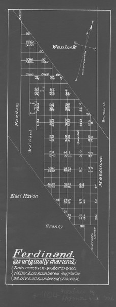 Ferdinand 1 Lotting Vermont Town Dewart