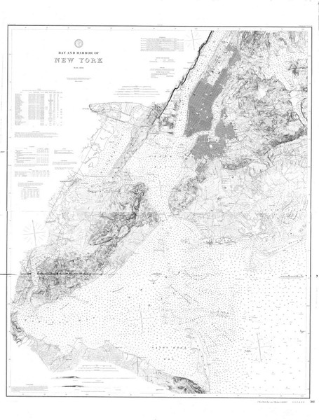 New York Harbor 1889 - Old Map Nautical Chart AC Harbors 369 - New York