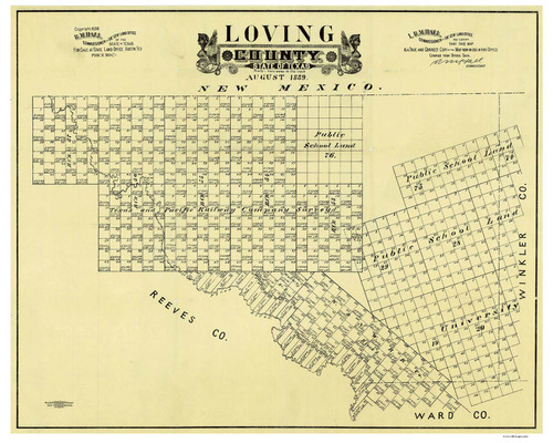 Loving County Texas 1889 Copy A - Old Map Reprint - OLD MAPS
