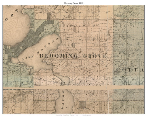 Blooming Grove Wisconsin 1861 Old Town Map Custom Print Dane Co