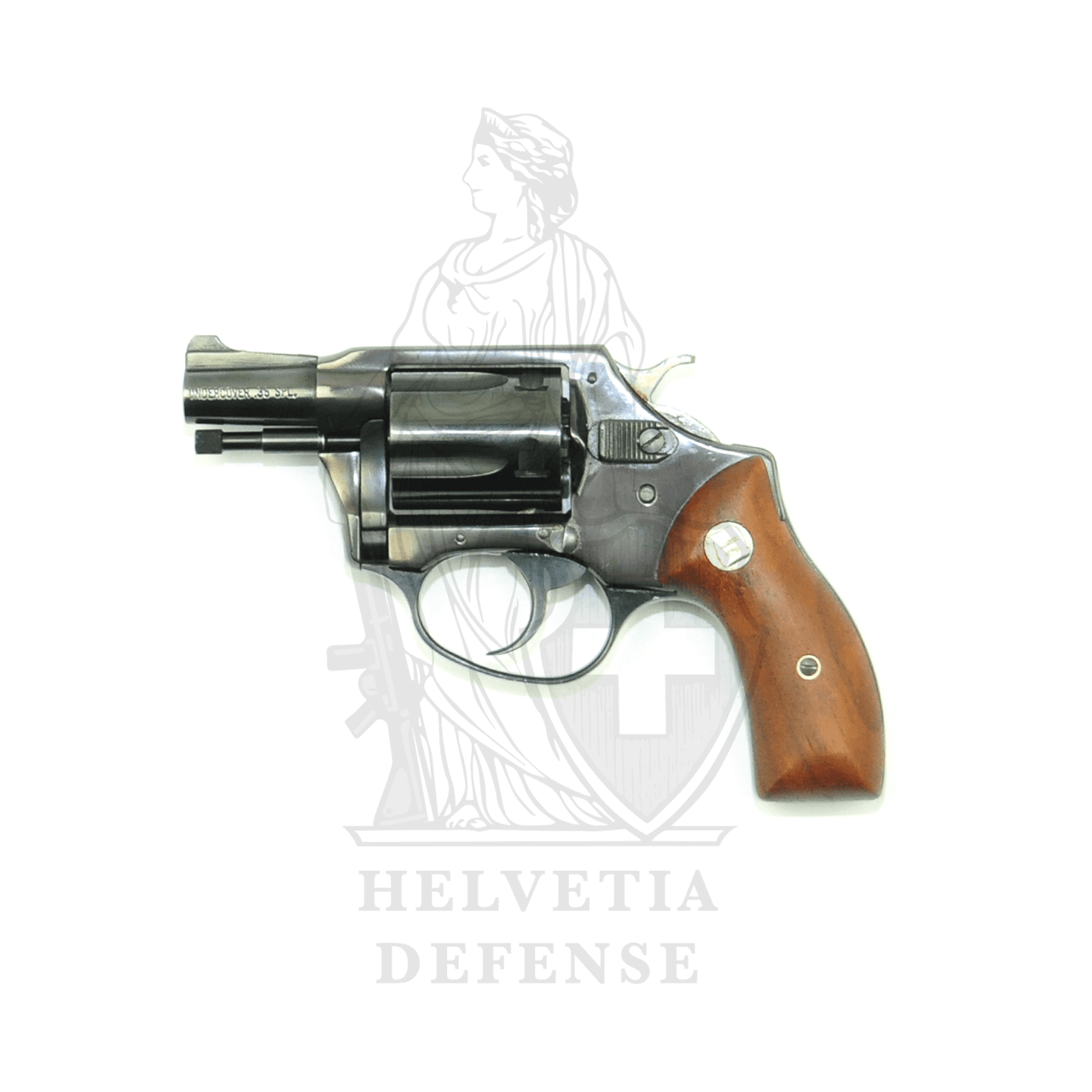 Charter Undercover Double-Action Revolver in Caliber .38 Spec with