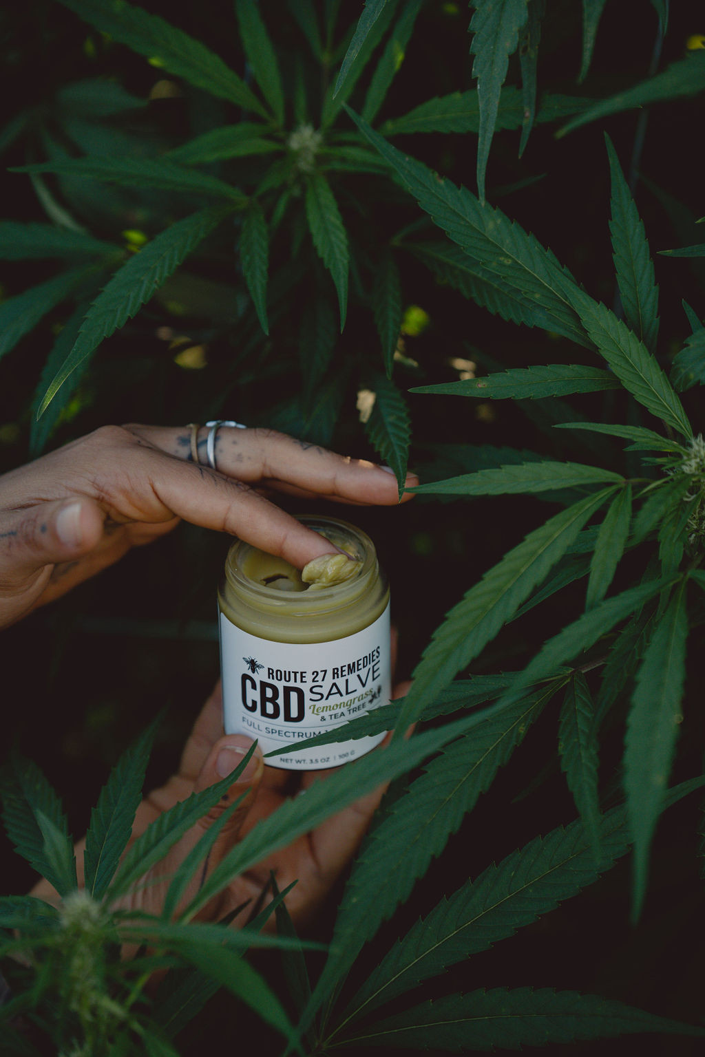 Route 27 Remedies Full Spectrum CBD Salve