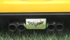 Exhaust Plate, C6 Corvette Polished