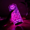 Rechargeable 16 Colors RGB Rose LED Night Light Color