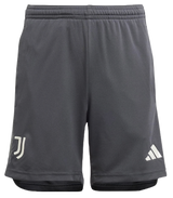 Juventus 23/24 Authentic Men's Third Shirt