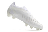 Adidas Predator Accuracy.1 Low FG - White