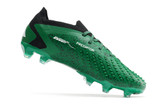 Adidas Predator Accuracy.1 Low FG - Green/White