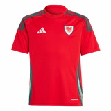 Wales 2024 Kid's Home Shirt and Shorts