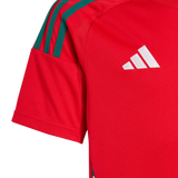 Wales 2024 Kid's Home Shirt and Shorts
