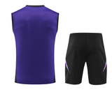 Germany 2024 Men's Purple Training Tank Top