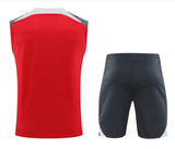 Liverpool 24/25 Men's Red Training Tank Top