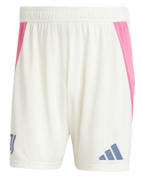 Juventus 24/25 Authentic Men's Away Shirt