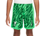 Liverpool 24/25 Kid's Green Goalkeeper Shirt and Shorts