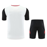 Manchester United 24/25 Men's Tiro 24 Training Shirt