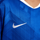 PALMER #10 Chelsea 25/26 Kid's Home Mini-Kit - Chelsea Font