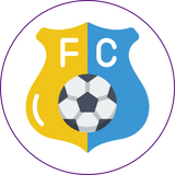 Other Top Leagues