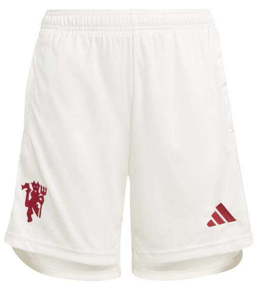 Manchester United 23/24 Authentic Men's Third Shirt