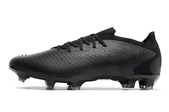 Adidas Predator Accuracy.1 Low FG - Black