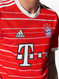 MANÉ #17 Bayern Munich 22/23 Stadium Men's Home Shirt