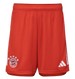 Bayern Munich 23/24 Authentic Men's Home Shirt