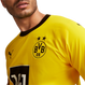 Borussia Dortmund 23/24 Authentic Men's Home Shirt