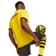 Borussia Dortmund 23/24 Stadium Men's Home Shirt