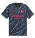 Manchester City 23/24 Authentic Men's Third Shirt