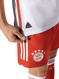KANE #9 Bayern Munich 23/24 Authentic Men's Home Shirt