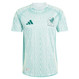 Mexico 2024 Authentic Men's Away Shirt
