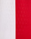 Croatia 2024 Authentic Men's Home Shirt