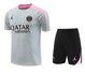 Paris Saint-Germain 24/25 Men's Gray Training Shirt