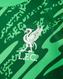 Liverpool 24/25 Kid's Green Goalkeeper Shirt and Shorts