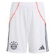 Bayern Munich 25/26 Authentic Men's Away Shirt
