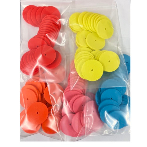 pack of 25 plain plastic disc