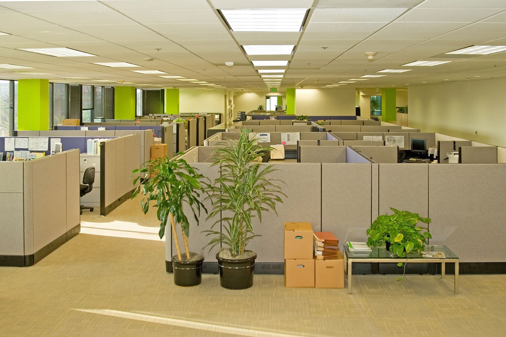 Boost Employee Morale With Decorative Light Covers Boost Employee Morale With Decorative Light Covers