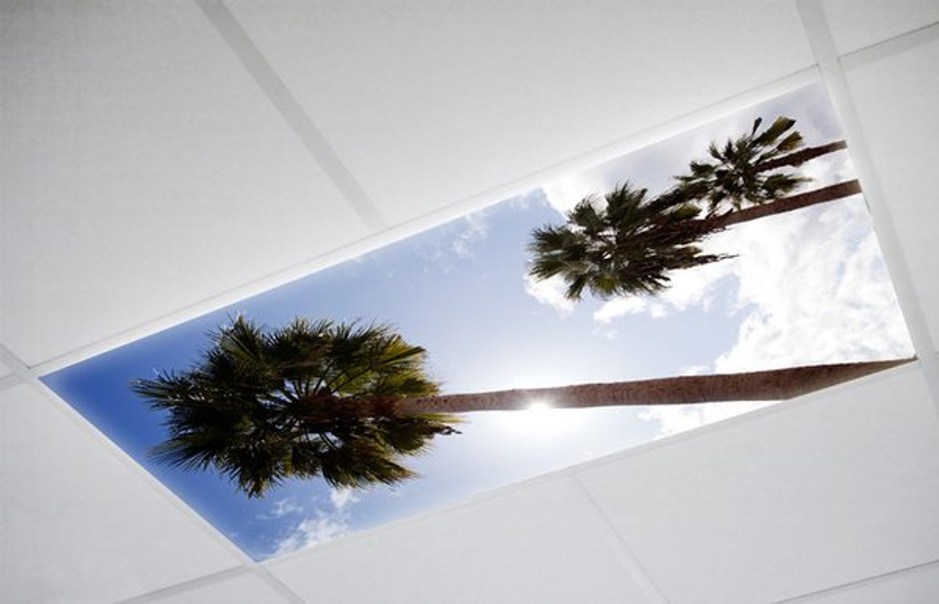 Discover The Many Uses Of Fluorescent Light Filters Discover The Many Uses Of Fluorescent Light Filters