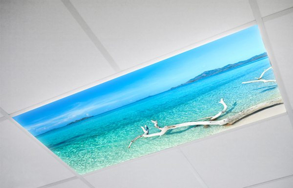 Discover The Many Uses Of Custom Fluorescent Light Covers