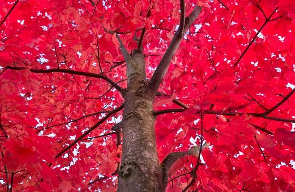 Preparing For Fall With Decorative Light Covers