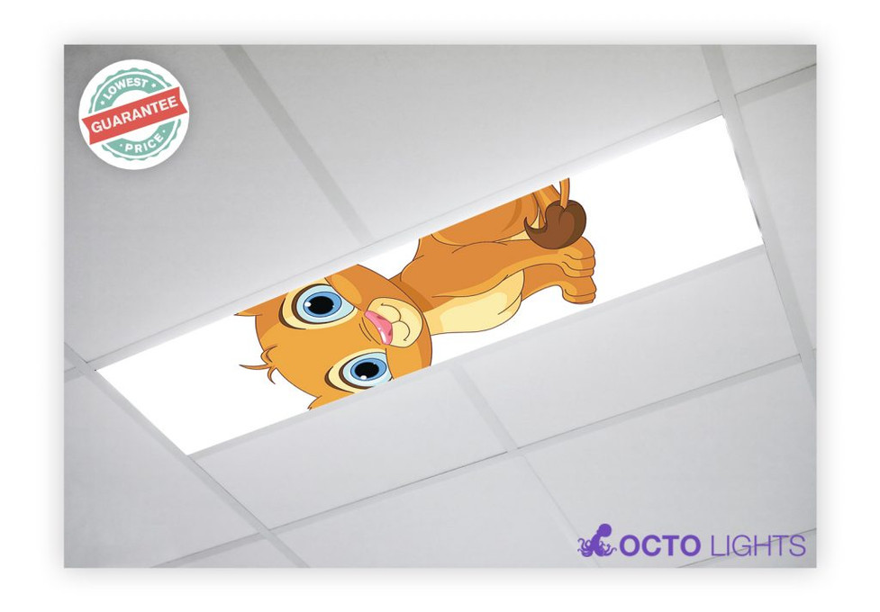 Why Decorative Fluorescent Light Covers Are Ideal For Children