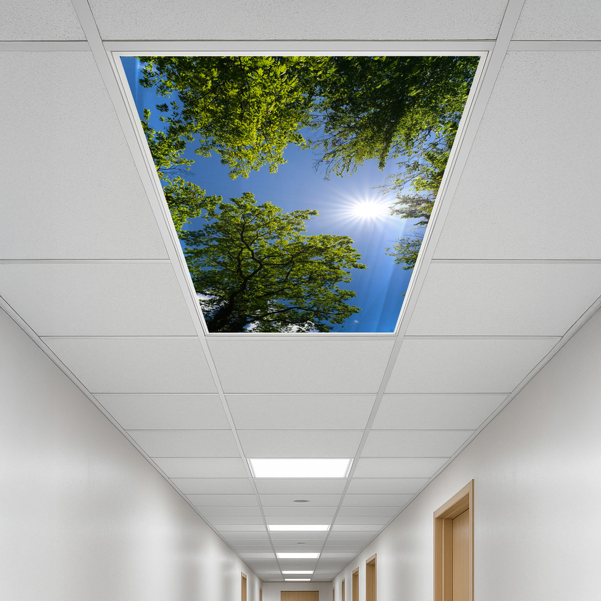 fluorescent light covers ceiling cover covered lights diffuser fixture lamp lighting covering with for fluro replacement flourescent bulb