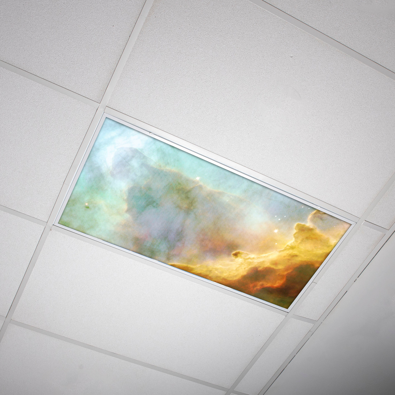 Decorative fluorescent shop light panels