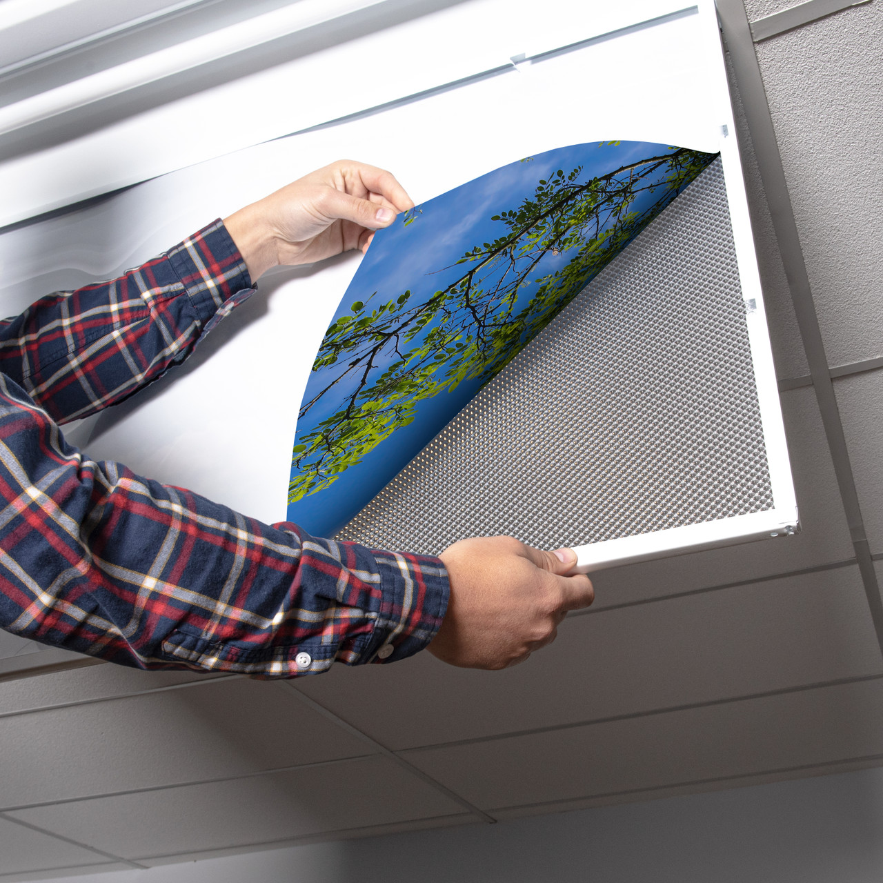 その他 TheFLARE/Living on the Guiding Light The Flare - Sunday morning (Living on the guiding light DVD