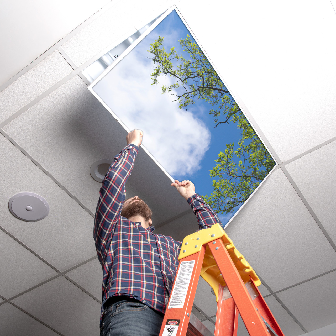 Tree Ceiling Light Covers from Octo Lights | Transform Your