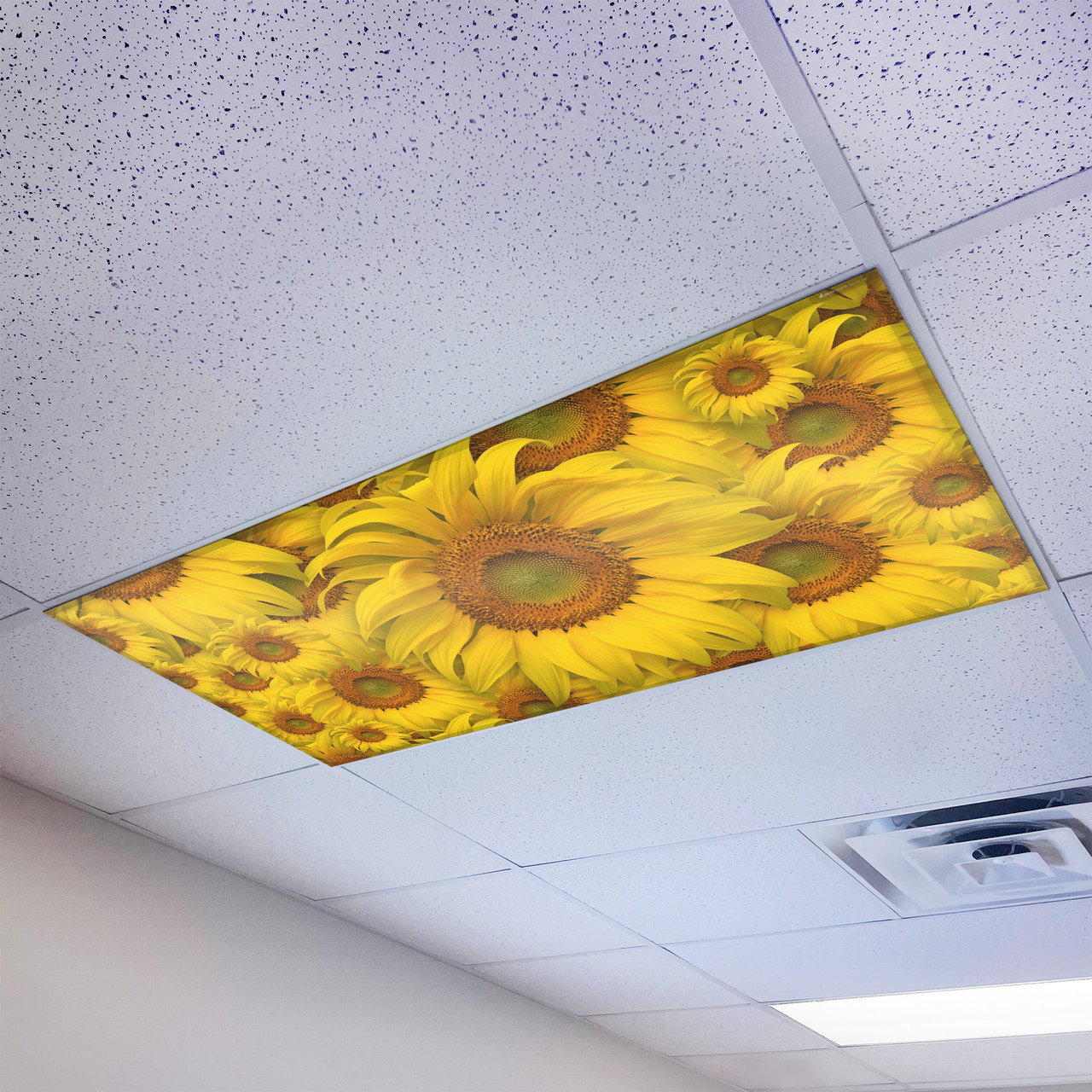 Brighten Your Space with Sunflower Magnetic Light Covers