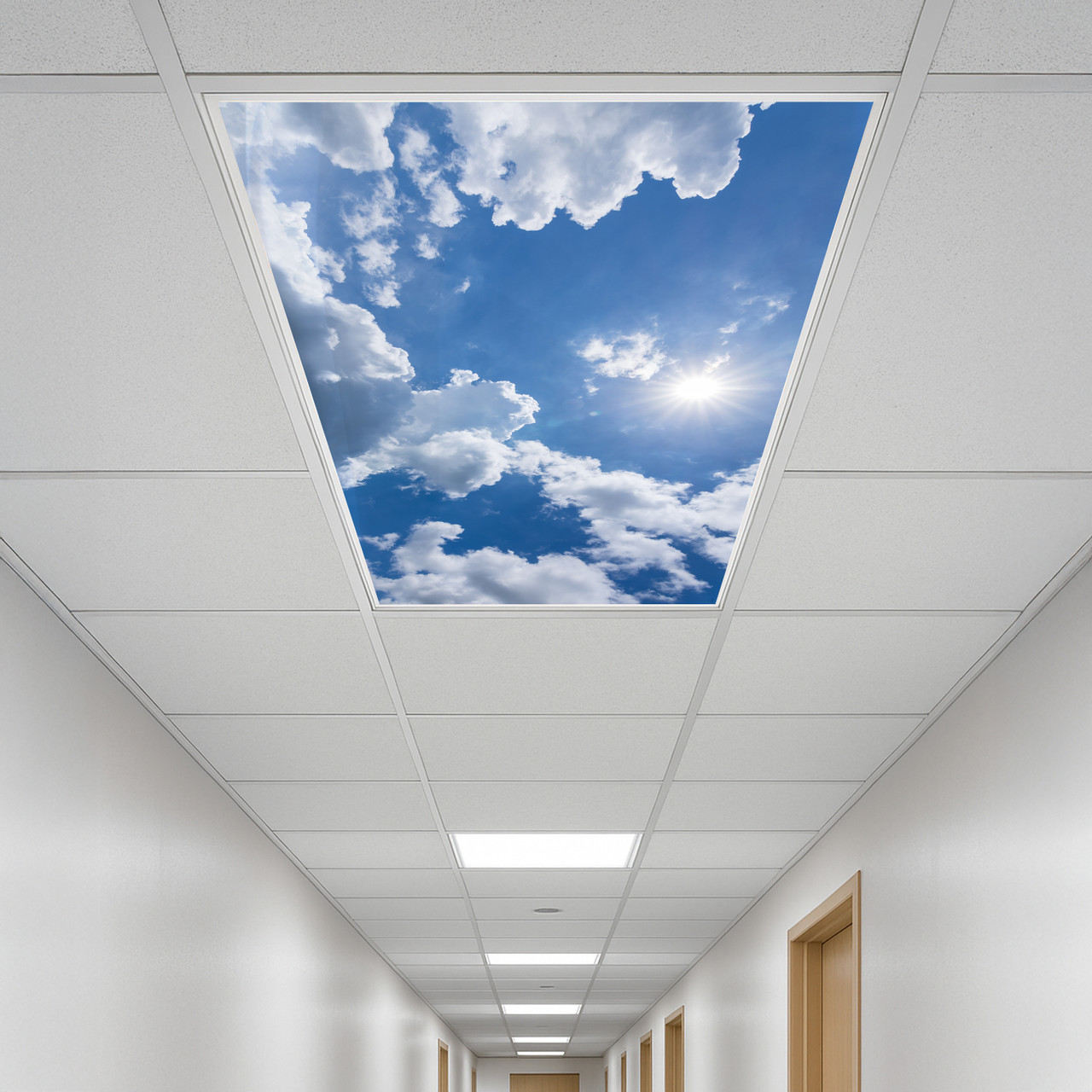 Premium LED Light Diffuser Polycarbonate Panel – Cloud Design