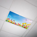 Flower Fluorescent Light Filter Covers